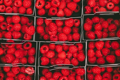 Fresh Raspberry Cake