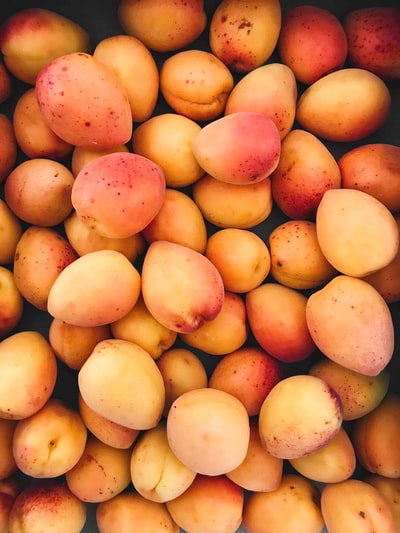 Apricot-cardamon Bars & Apricot Icing