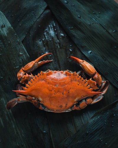 Crab-melt Canapes