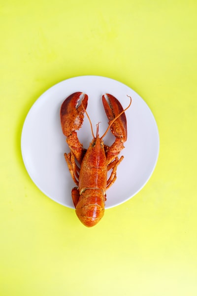 Lobster-shrimp Chowder