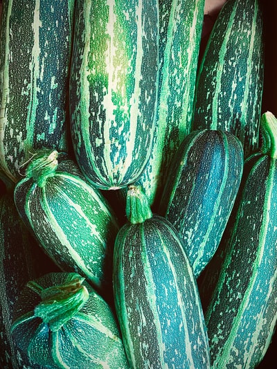 Zucchini