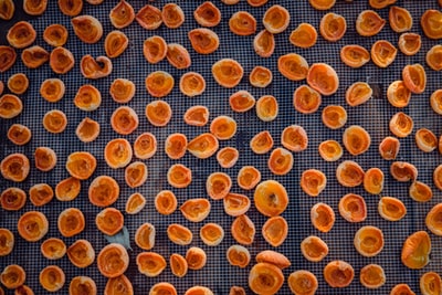 Apricot Flan
