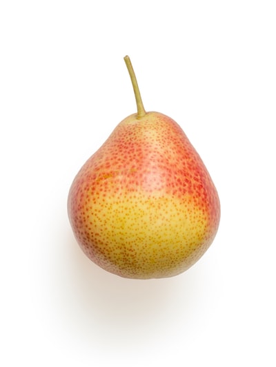 Pear-apple Mincemeat Pie