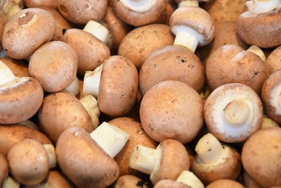 Mushrooms In White Sauce