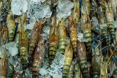 Herbed Shrimp And Feta Casserole